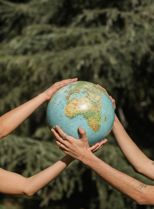 INTERN EXCHANGE: SUSTAINABLE AGRICULTURE EXPERIENCE
