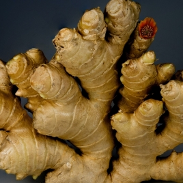 Fresh Ginger