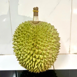 Fresh Durian - Musangking