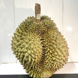 Fresh Durian - Thai
