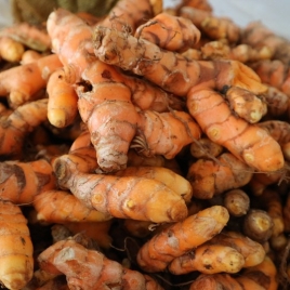 Fresh Turmeric