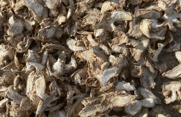 Dried Ginger - Sliced