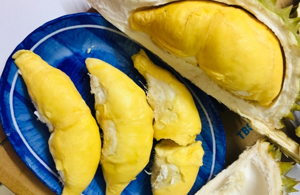 Fresh Durian - Ri6