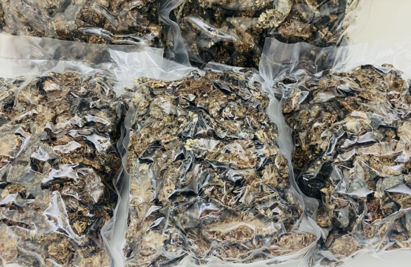 Dried Noni (Shape: half cut)