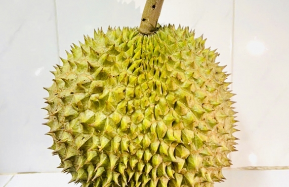 Fresh Durian - Ri6