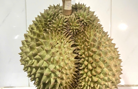 Fresh Durian - Thai