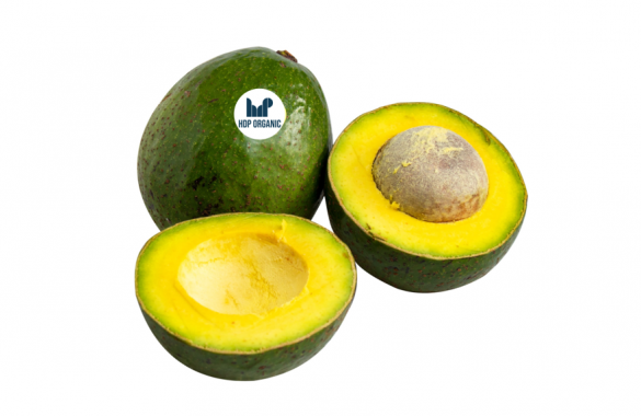 Booth Avocado